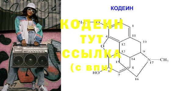 спиды Арсеньев
