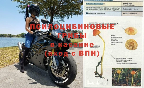 дурь Армянск
