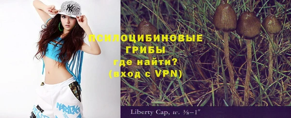 дурь Армянск