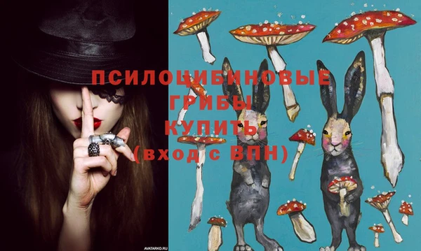 спиды Арсеньев
