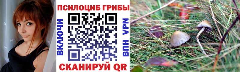Галлюциногенные грибы прущие грибы  закладки  Темрюк 